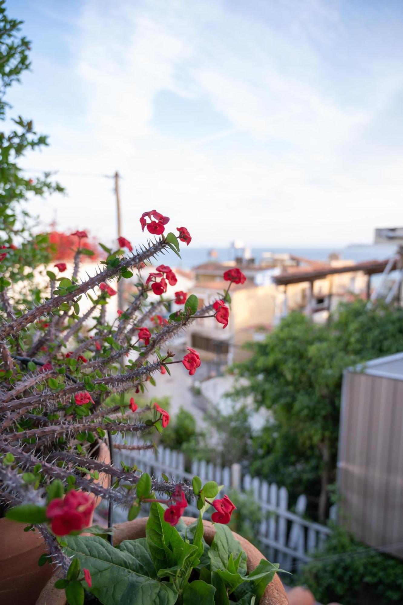 Villa Memories Gytheio Exterior foto